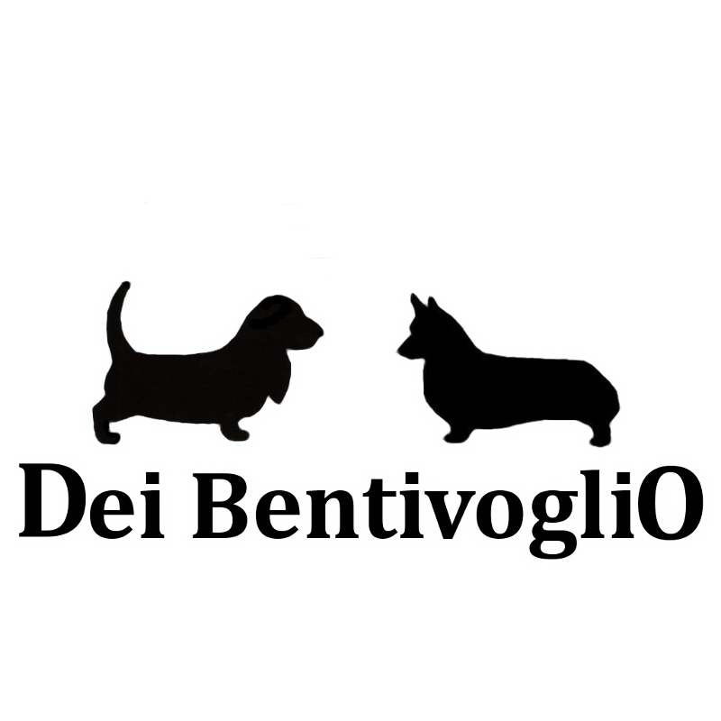 Allevamento professionale dei Bentivoglio: razze canine Welsh Corgi Pembroke e Basset Hound